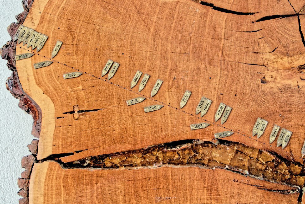 BellaMaisa Bites Article 011