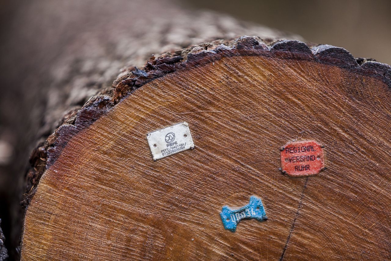 BellaMaisa Bites Article 012