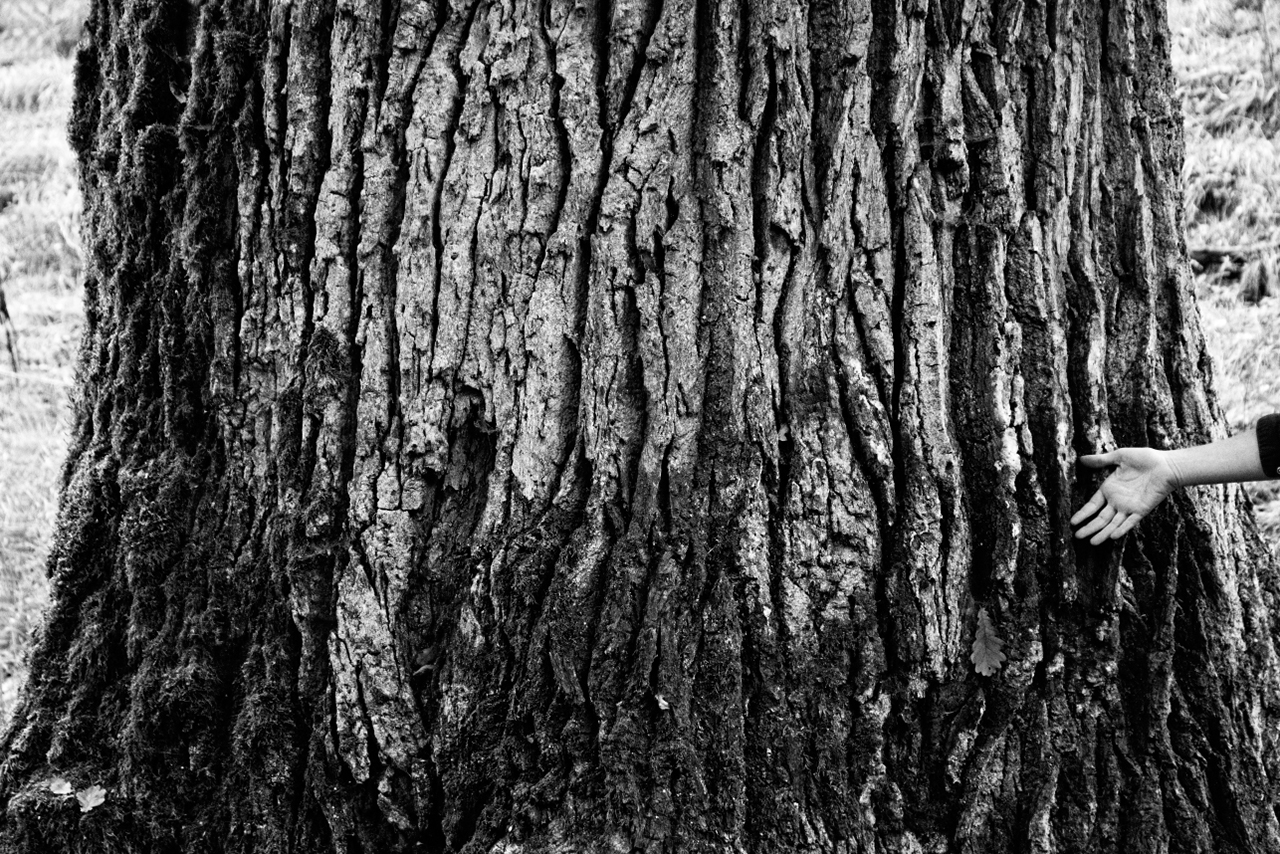 BellaMaisa Bites Article012a